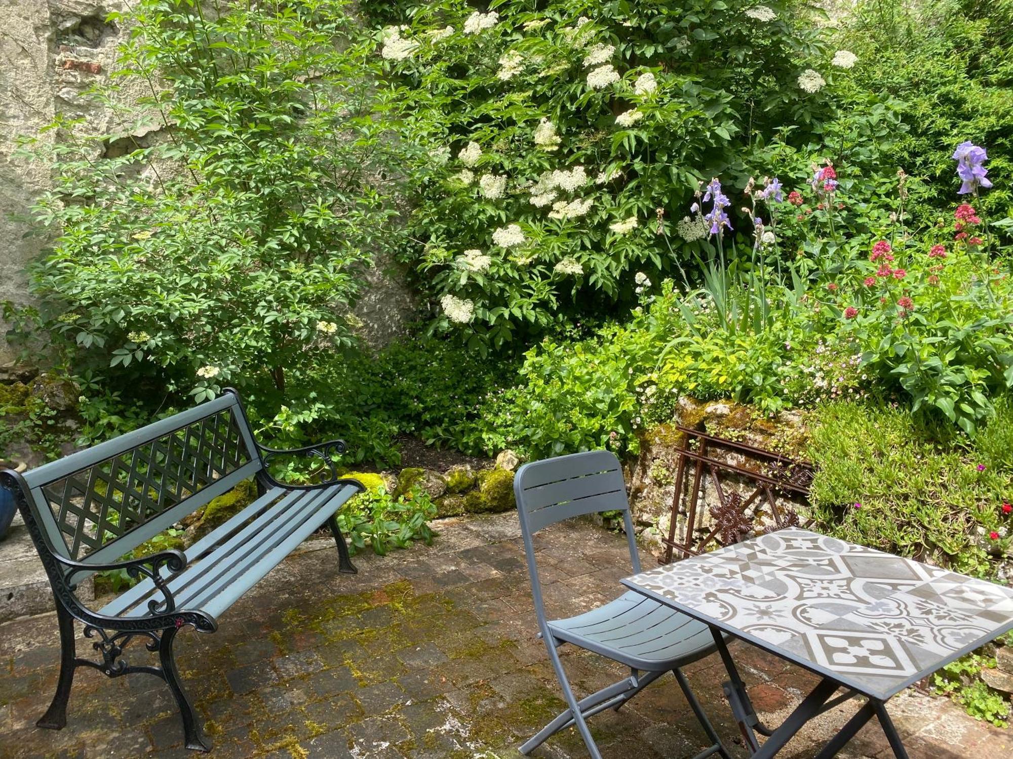 Chatel Rose - Historical Centre With Garden Blois Dış mekan fotoğraf