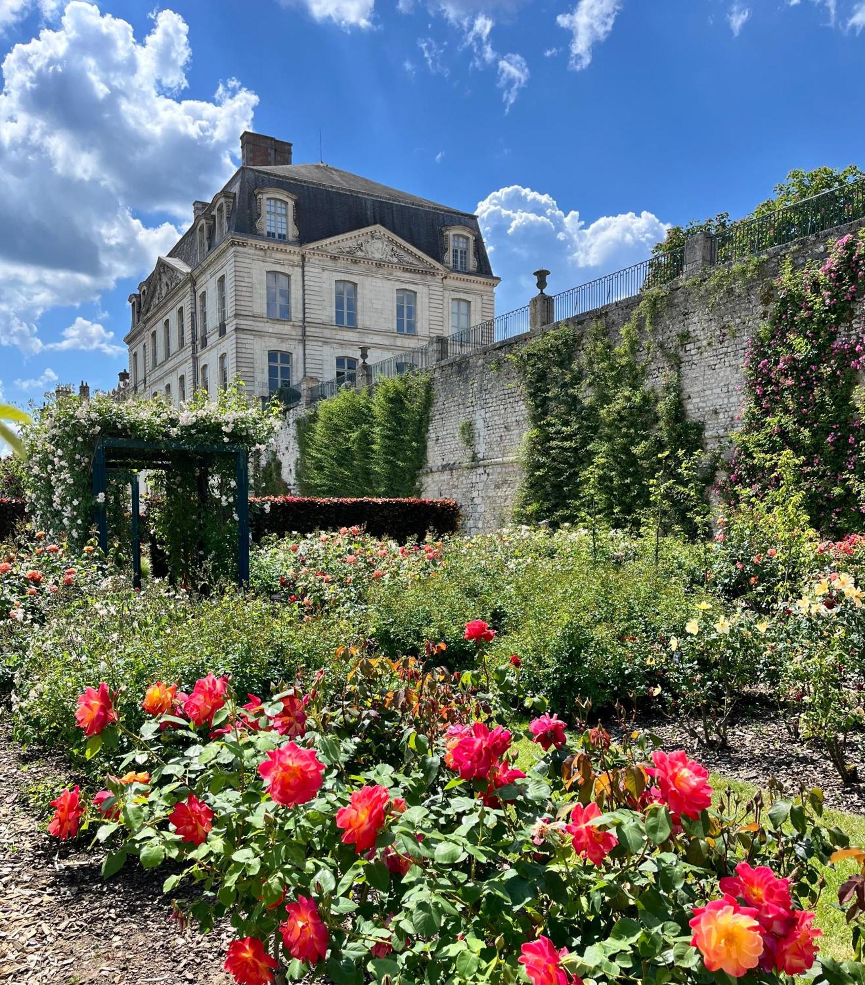 Chatel Rose - Historical Centre With Garden Blois Dış mekan fotoğraf